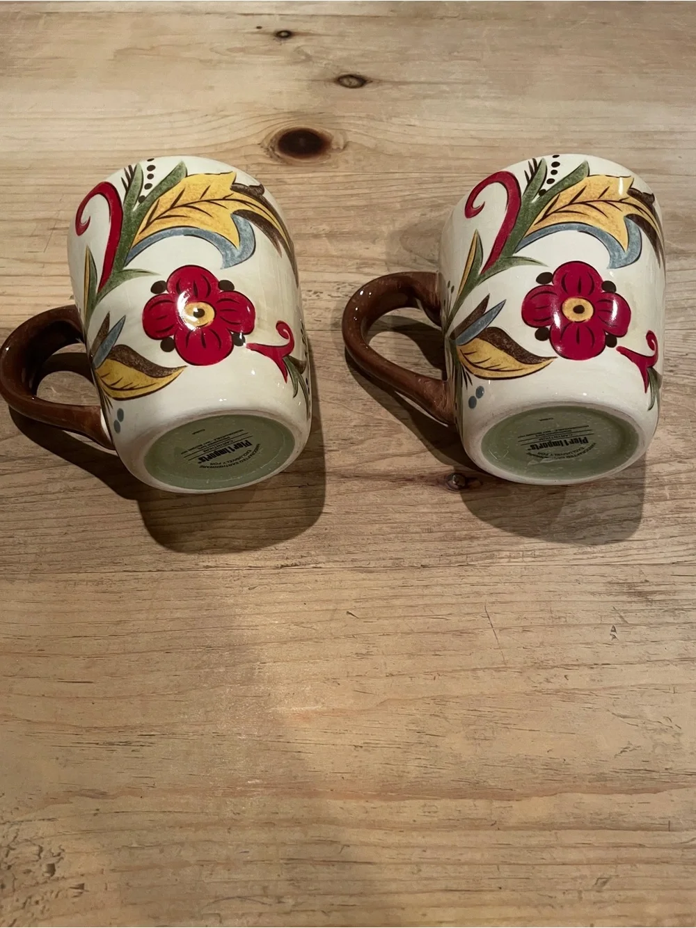 Pier 1 Carynthum Botanical Mugs (2) retired green interior brown handle 14oz